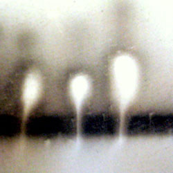 Talo elää: jäljet